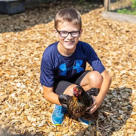 Apartament Fingerhof Flachau