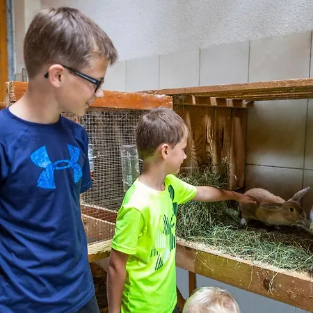 Fingerhof Apartament Flachau