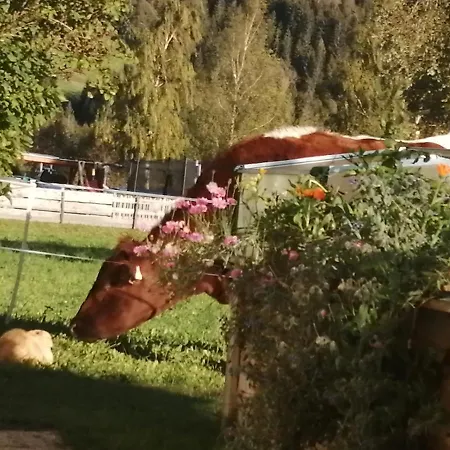 Apartament Fingerhof *