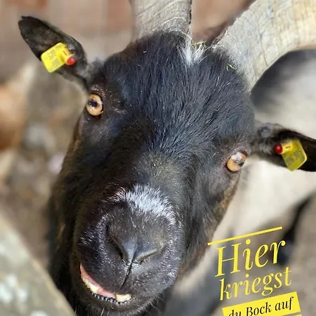 Appartement Fingerhof Flachau