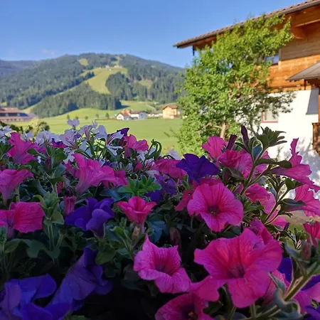 Fingerhof Flachau