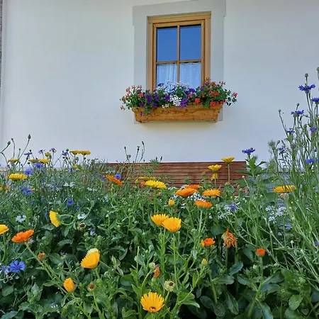 Apartament Fingerhof *