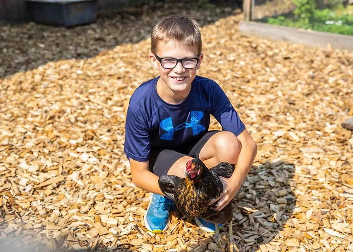 Apartament Fingerhof Flachau