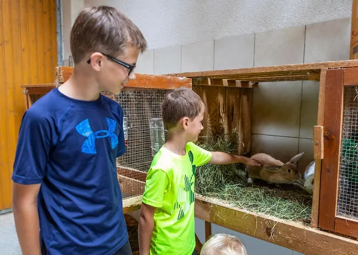 Fingerhof Apartament Flachau