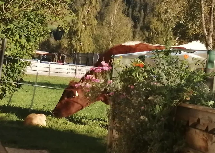 Apartamento Fingerhof *