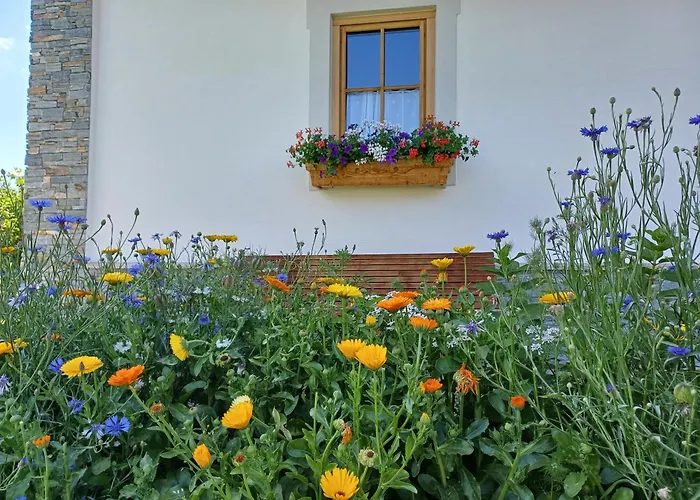 Apartament Fingerhof *